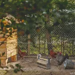 Silva - Dom Wczasowy, Tenis, Basen, Balia I Sauna