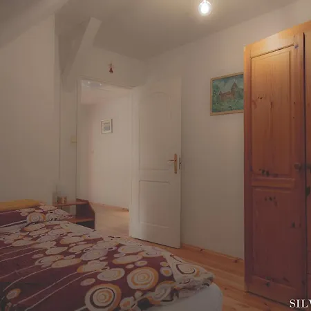 Silva - Dom Wczasowy, Tenis, Basen, Balia I Sauna Casa vacanze Borsk