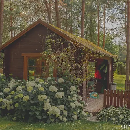 Silva - Dom Wczasowy, Tenis, Basen, Balia I Sauna * Borsk