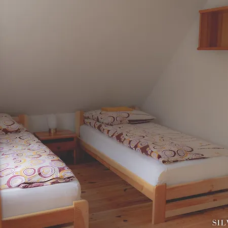 Casa vacanze Silva - Dom Wczasowy, Tenis, Basen, Balia I Sauna Borsk