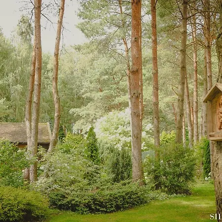 Silva - Dom Wczasowy, Tenis, Basen, Balia I Sauna * Borsk