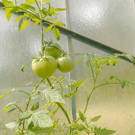 Silva - Dom Wczasowy, Tenis, Basen, Balia I Sauna * Borsk