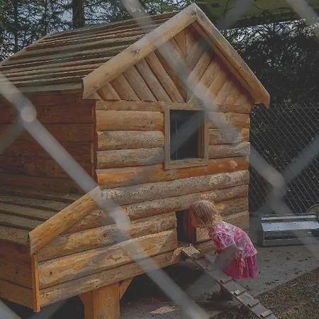 Silva - Dom Wczasowy, Tenis, Basen, Balia I Sauna * Borsk