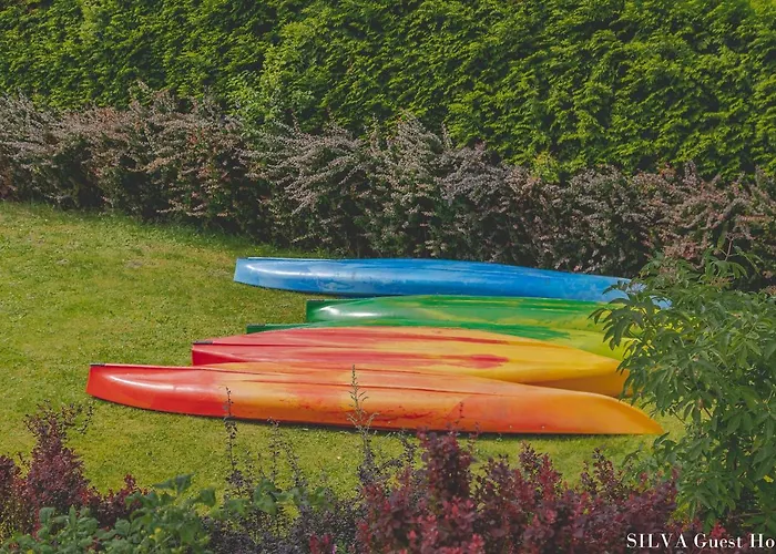 Semesterbostad Silva - Dom Wczasowy, Tenis, Basen, Balia I Sauna Borsk