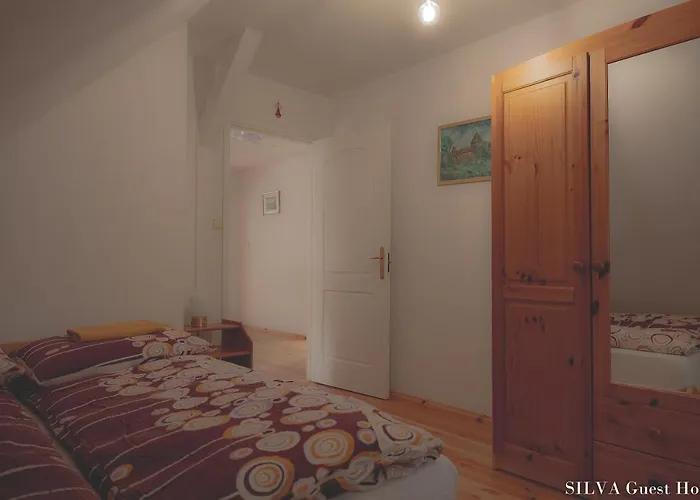 Silva - Dom Wczasowy, Tenis, Basen, Balia I Sauna Semesterbostad Borsk