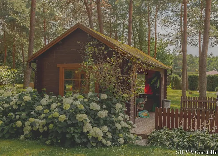 Silva - Dom Wczasowy, Tenis, Basen, Balia I Sauna * Borsk