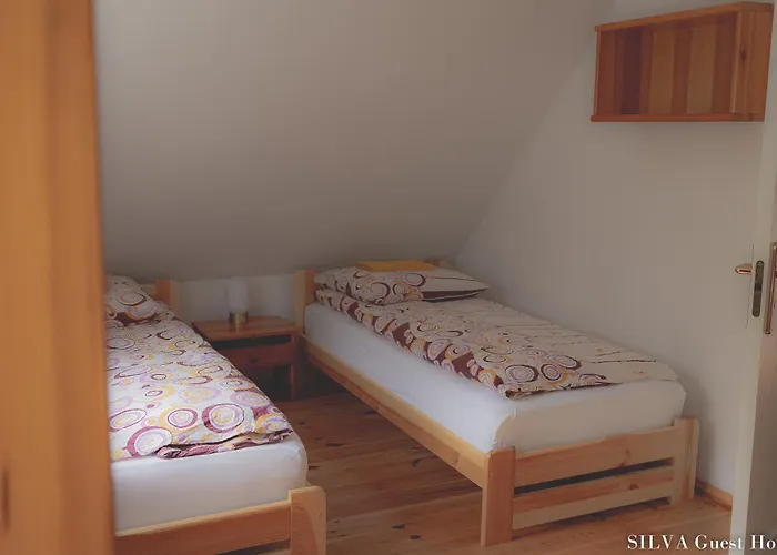 Semesterbostad Silva - Dom Wczasowy, Tenis, Basen, Balia I Sauna Borsk