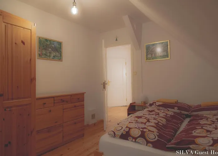 Silva - Dom Wczasowy, Tenis, Basen, Balia I Sauna Semesterbostad *