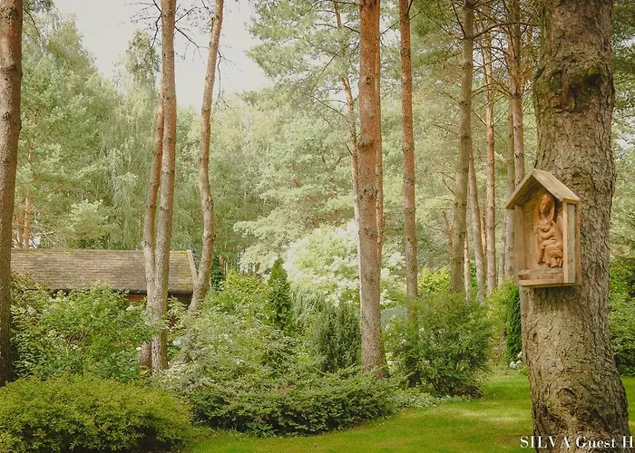 Silva - Dom Wczasowy, Tenis, Basen, Balia I Sauna * Borsk