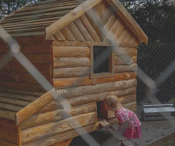 Silva - Dom Wczasowy, Tenis, Basen, Balia I Sauna * Borsk